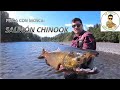 AVENTURAS DE PESCA CON MOSCA #4: En busca del gran salmón Chinook........RÉCORD PERSONAL!!!!