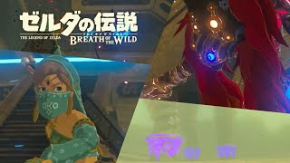 【プレイ日記】ゼルダの伝説ブレスオブザワイルド その26