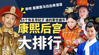 Kangxi concubine family background ranking  65 named concubines  who has the best family background