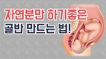 골반이야기 #2. 자연분만 성공률 높이는 골반 만들기