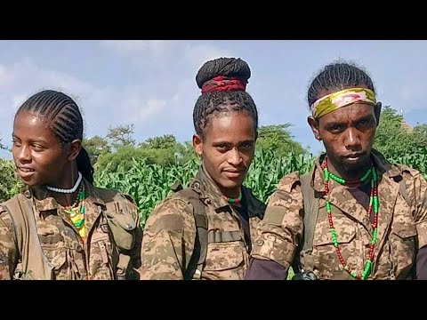 የህዳር 04 2018 Oct 13 2025 ሰበር ዜናዎች Ethiopia News Today Breakignews Anchormedia Ethiopia Amharic News