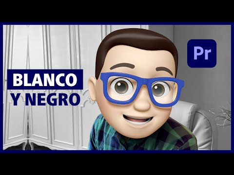 Poner Vídeo en BLANCO Y NEGRO en Premiere Pro - Efecto Blanco Y Negro 🤍🖤