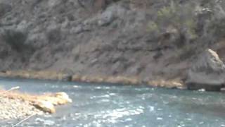 MVI_0962.AVI