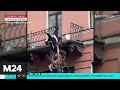 Пара рухнула с балкона во время драки в центре Петербурга. Видео - Москва 24