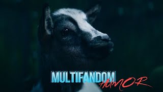 Multifandom | &quot;No one calls my skunk a skunk&quot; (Humor)