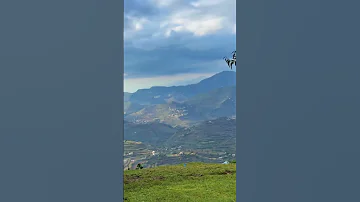 الفنانه ردينه العوامي نهم عليا 