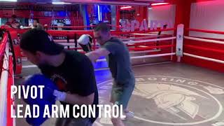 Lead Arm in Boxing