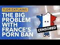 France's New Porn Ban Explained: Child Protection or Online Censorship? - TLDR News
