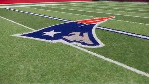 Enscape Rendered Grass Example via SketchUp