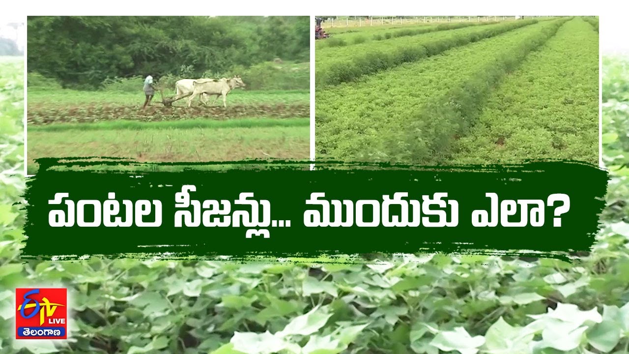 Preponement of Crop Season | To What Extent Will It Provide Benefits to ...