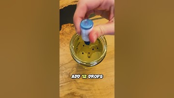 DIY Lava Lamp Experiment 🧪