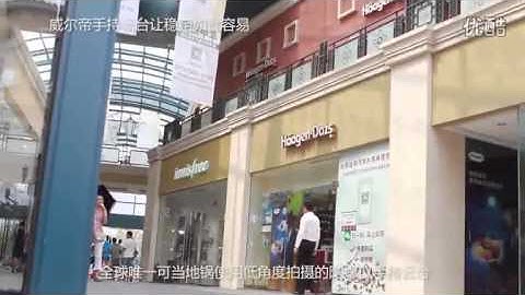 WIELDY SWIFT-C 3-axis Digital Handheld Gyroscope Stabilizer for Canon Sony SLR Cameras Linkdelight