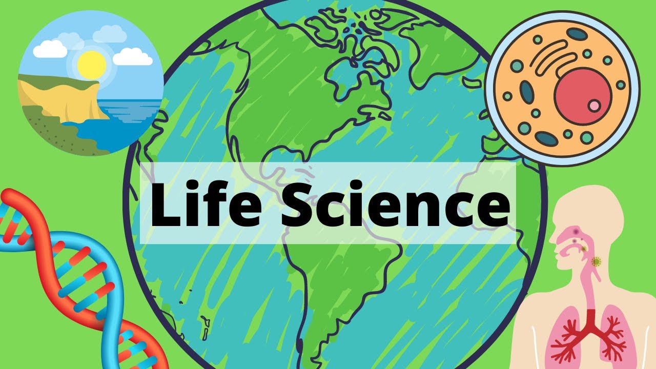 assignment of life science