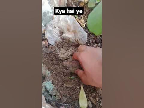 ️deewane ham nhi hote - YouTube
