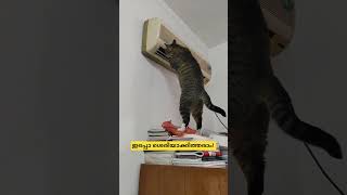 ഇപ്പൊ ശെരിയാക്കിത്തരാം... 🤣#ytshort#viralcuts#funny