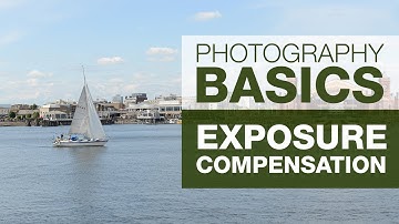 PHOTOGRAPHY BASICS | EXPOSURE COMPENSATION