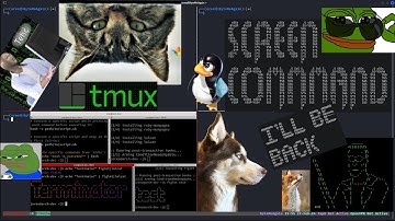 Terminal Multiplexer Break Down. Screen, Tmux, Terminator, and Kali