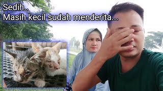 Astaghfirullah ❗ Semua Pulkam Dua Kitten Lemas dan Sakit Karena Kelaparan by Sahabat Meongers 1,004 views 1 month ago 11 minutes, 47 seconds