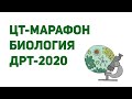 ЦТ-МАРАФОН / БИОЛОГИЯ / ДРТ-2020