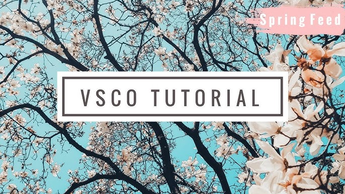 Vsco Tutorial Tanned Skin Tone For Your Vacation Instagram Photos - Youtube