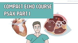 〖Echocardiography〗 Parasternal short axis - Anatomy part I (PSAX)