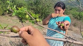 EN ESTE SERRO⛰️ENCONTRAMOS JOCOTE🍒 TRONADOR RIQUISIMO😋@Aventuras Salvadoreñas🇸🇻