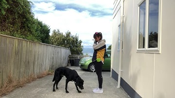 Exercise 6.2: Evaluating Stimulus Control -Finished behavior -Jase Cheung