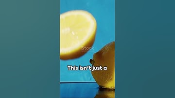 Lemons Float, Limes Sink: The Citrus Experiment Results Revealed! #abbytech #fact #shorts #citrus