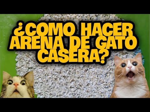 Cómo hacer que un gato rescatado use la arenera?