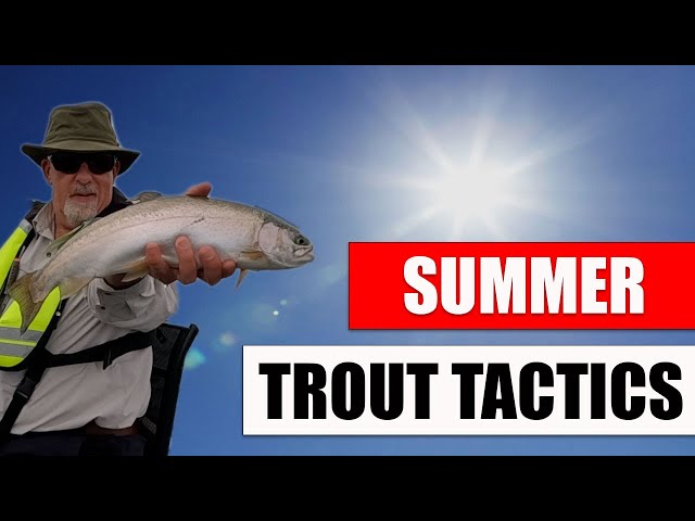 Summer Tactics For Trout #flyfishing #fishing #catchandrelease