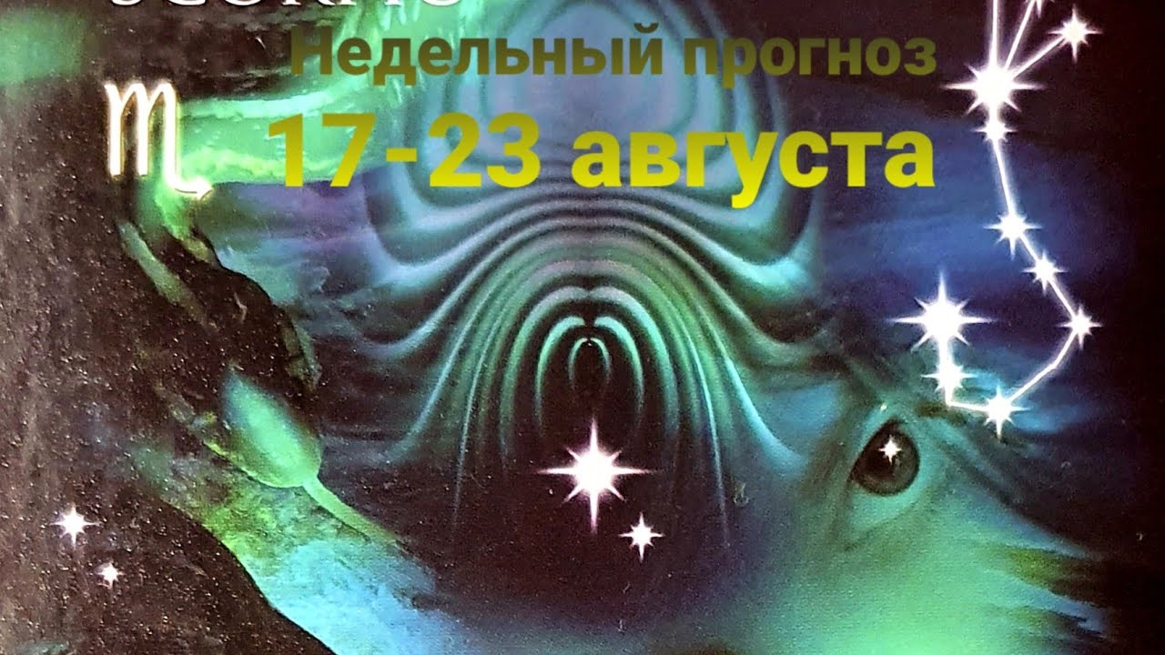 Предсказания 17