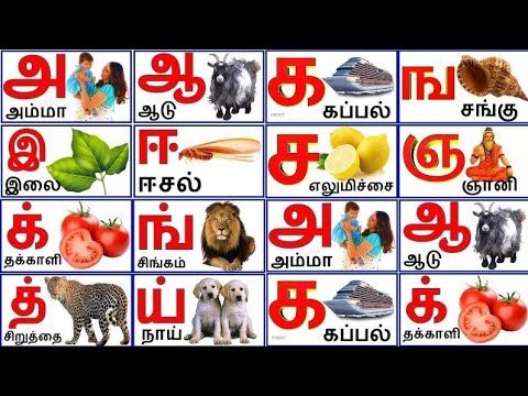     tamil alphabetsTamil consonants