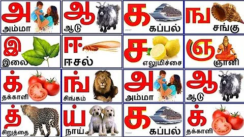 உயிர் எழுத்துக்கள்| மெய் எழுத்துக்கள் |உயிர்மெய் எழுத்துக்கள்|tamil alphabets|Tamil consonants