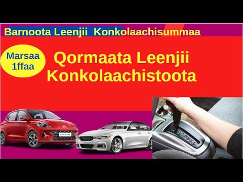 Qormaata Leenjii Konkolaachistoota Marsaa 1ffaa