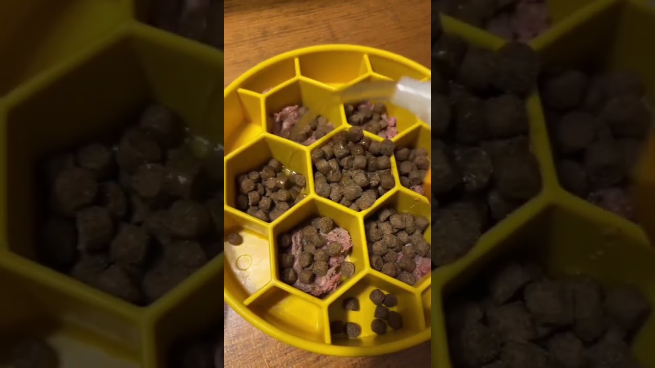 feed ft duck head😍 