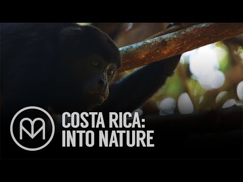 Video: Reisen Mit Dem Sessel: Nature Calling - Matador Network