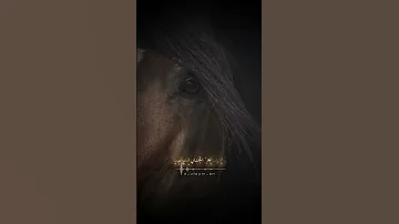 تمر ببالي كطيف جميل صباح الحكيم زياد أيمن 
