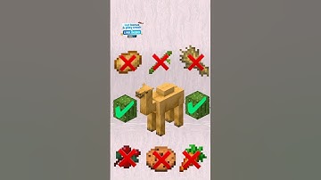 Minecraft camel edit ☠️ #minecraft #shorts #gaming