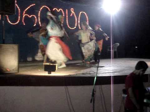 სქურის ლიდერების ბოშური ვარციხეში