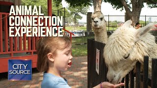 Animal Connection Experience at Irving's Fritz Park - YouTube