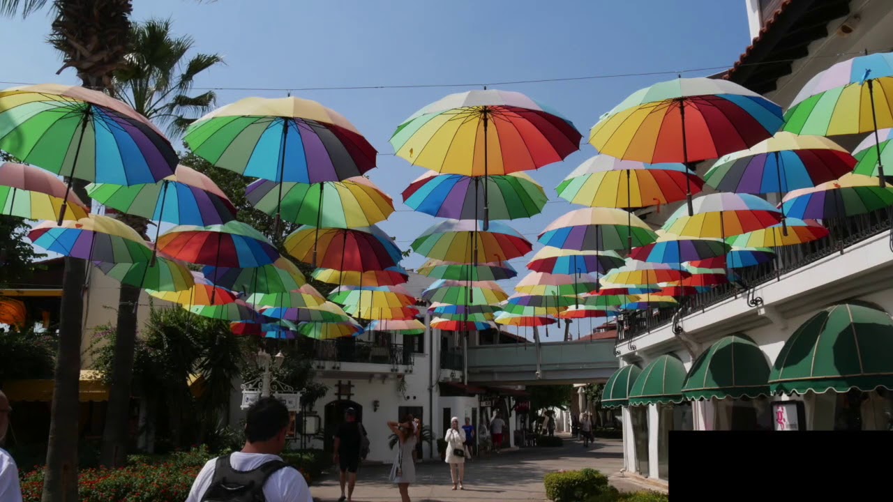 Die Bootssuche, Teil 1