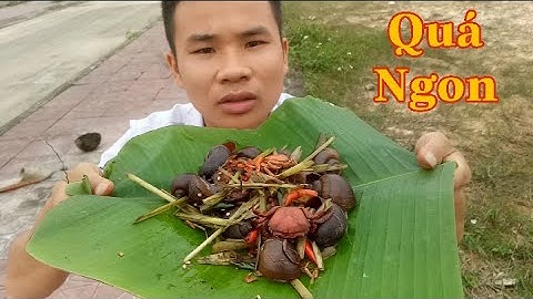 Ốc Bươu Vàng Sốt Thái Siêu Cay / Bắt Ốc Bươu Khổng Lồ Mùa Nước Rút