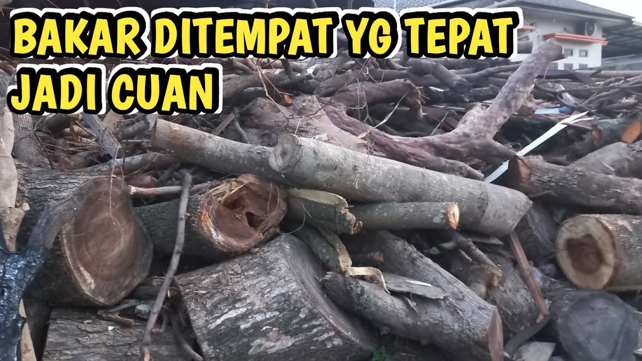 ДРЕВЕСИНА, ДОСТАВЛЕННАЯ В НУЖНОЕ МЕСТО, ЧТОБЫ ПРЕВРАТИТЬСЯ В ДЕНЬГИ📈