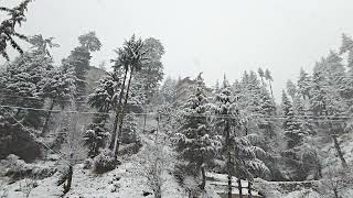 Complete White Powder Soft Snow 