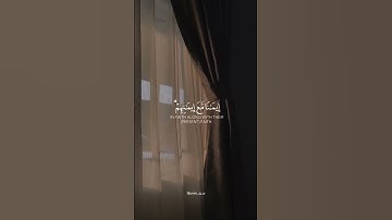 سورة الفتح [ الآية 4 ] 🕊️✨