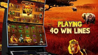 Wild Adventure Big 5