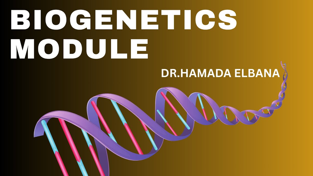 Lecture 3 – Bio Genetics DNA Replication