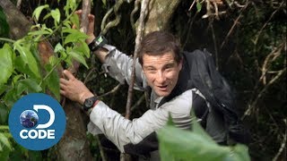 Bear Grylls in Borneo Jungle | Man vs Wild (1/6)