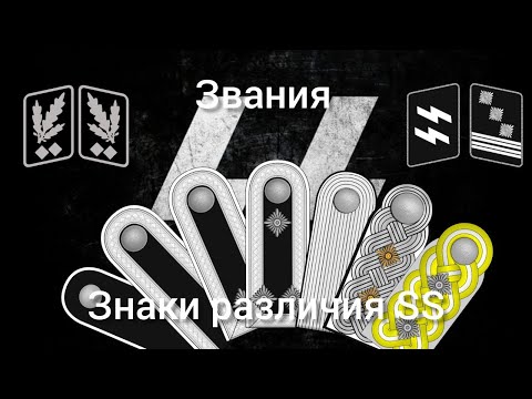 Звания и знаки различия войск СС