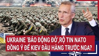 Chiến Sự Nga Ukraine Ukraine Báo Động Đỏ Rộ Tin Nato Đồng Ý Để Kiev Đầu Hàng Trước Nga?